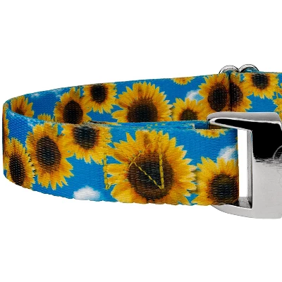 Country Brook Petz Martingale Dog Collar With Premium Buckle - Floral Collection 7 Country Brook Petz Martingale Dog Collar With Premium Buckle - Floral Collection - Image 5
