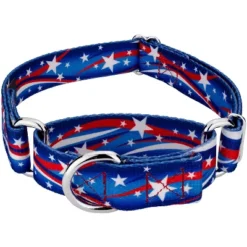 Country Brook Petz - Star Spangled Martingale Dog Collar -Pet Shop GUEST de6e6a83 dff0 433e b111 d4f9095847ed