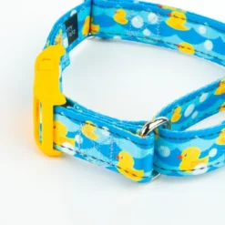 Country Brook Petz Reflective Martingale Dog Collar With Deluxe Buckle -Pet Shop GUEST deb331ad b500 438d 8205 aa9dece86dc1