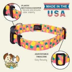 Country Brook Petz Deluxe Dog Collar - Made In The U.S.A. - Tasty Collection -Pet Shop GUEST df607076 55cc 4ce1 8f01 51f10787fdba