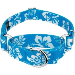 Country Brook Design - Blue Hawaiian Martingale Dog Collar -Pet Shop GUEST dfaa18b7 926e 430e bcb2 5f7cd2b916cd