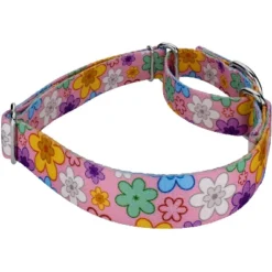 Country Brook Petz May Flowers Martingale Dog Collar -Pet Shop GUEST dfe4b208 755d 4d9b 8c25 66fdcaf1f4ee