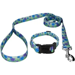 Country Brook Petz Deluxe Collar And Leash - Spring Collection 5 Country Brook Petz Deluxe Collar And Leash - Spring Collection -Pet Shop GUEST e045905b 11ac 41a5 b8fd 79e050e65524 1