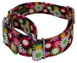 Country Brook Petz 1 1/2 Inch Daisy Fields Martingale Dog Collar 11 Country Brook Petz 1 1/2 Inch Daisy Fields Martingale Dog Collar -Pet Shop GUEST e2994d39 d489 4261 89a6 21b0a54edfae