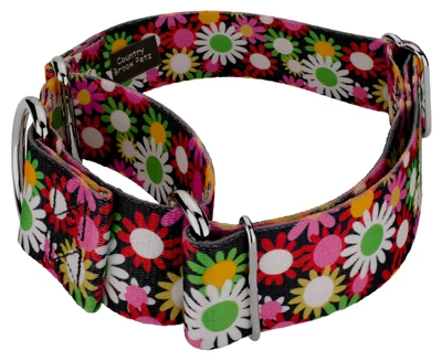 Country Brook Petz 1 1/2 Inch Daisy Fields Martingale Dog Collar 5 Country Brook Petz 1 1/2 Inch Daisy Fields Martingale Dog Collar - Image 3