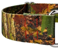 Country Brook Petz 1 1/2 Inch Southern Forest Camo Martingale Dog Collar 14 Country Brook Petz 1 1/2 Inch Southern Forest Camo Martingale Dog Collar -Pet Shop GUEST e3238e48 a720 4d86 8d15 616cc1a884a0