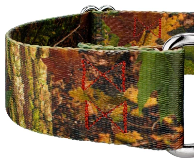 Country Brook Petz 1 1/2 Inch Southern Forest Camo Martingale Dog Collar 7 Country Brook Petz 1 1/2 Inch Southern Forest Camo Martingale Dog Collar - Image 5