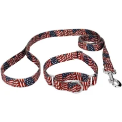 Country Brook Petz Patriotic Tribute Martingale Dog Collar And Leash -Pet Shop GUEST e3490330 6295 42b9 88a5 b2705168387c