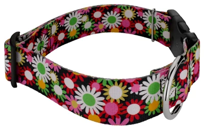 Country Brook Petz 1 1/2 Inch Deluxe Daisy Fields Dog Collar 4 Country Brook Petz 1 1/2 Inch Deluxe Daisy Fields Dog Collar - Image 2