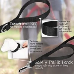 Country Brook Petz Deluxe Nylon Dog Leash, 6 Foot -Pet Shop GUEST e42ff43b fc61 49f9 9782 81f5da274952