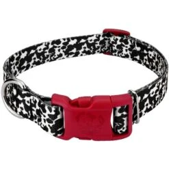 Country Brook Petz Deluxe Dairy Cow Dog Collar - Made In The U.S.A. (1 Inch, Medium) -Pet Shop GUEST e4593ccd 3609 4ddb 8b1c 21b57560c732