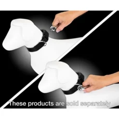 Country Brook Petz 6ft By 3/4 Inch Heavyduty Doublehandle Nylon Leash -Pet Shop GUEST e45a57ab 9705 4f9e 9e54 855631bbb2b7 1