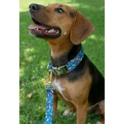 Country Brook Petz Premium Dog Collar - Critter Corner Collection