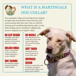 Country Brook Petz HossFit Jr Wide Martingale Dog Collar - Floral Collection -Pet Shop GUEST e4956a8b 3d1a 4e44 b809 1c05d9481a63