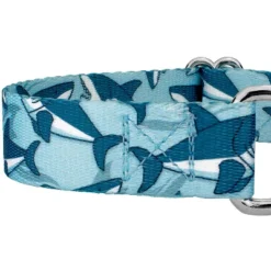 Country Brook Petz Sharks Martingale Dog Collar And Leash -Pet Shop GUEST e4ec5547 e643 4efb bff3 f1f561df416f
