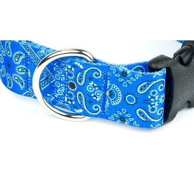 Country Brook Petz HossFit Jr Wide Deluxe Dog Collar - Country And Western Collection 3 Country Brook Petz HossFit Jr Wide Deluxe Dog Collar - Country And Western Collection