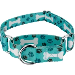 Country Brook Petz Oh My Dog Martingale Dog Collar -Pet Shop GUEST e565c2c6 c335 4803 80c5 4fdb880d4782