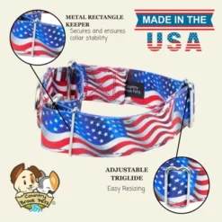 Country Brook Petz HossFit Jr Wide Reflective Martingale Dog Collar Collection Featuring Night Safe Designs -Pet Shop GUEST e5e0b38b ffc4 43bd 8a90 f9e7633bc01f