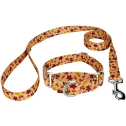 Country Brook Petz Fall Foliage Martingale Dog Collar And Leash -Pet Shop GUEST e686d3ce cb54 4c65 8b0f f5487d47cc51