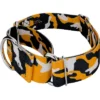 Country Brook Petz HossFit Jr Wide Martingale Dog Collar - Sports And Athletics Collection -Pet Shop GUEST e68f68d8 efde 4f6f ad05 caf54b62aee9