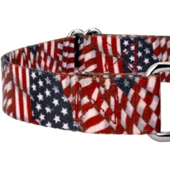 Country Brook Petz Patriotic Tribute Martingale Dog Collar And Leash -Pet Shop GUEST e6a92c35 32bb 4540 a36d 242d1362ede2