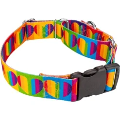 Country Brook Petz 1 1/2 Inch Rainbow Hearts Martingale W/Deluxe Buckle Dog Collar -Pet Shop GUEST e79c3ba4 b7d3 4816 b003 7ed792a29d0f