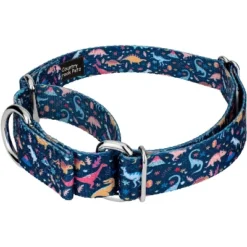 Country Brook Petz Dinosaurs Martingale Dog Collar And Leash -Pet Shop GUEST e7b9ce28 ec2d 4ca4 a16b 9a83ebd0bd7c