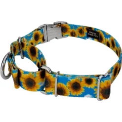 Country Brook Petz Martingale Dog Collar With Premium Buckle - Floral Collection 10 Country Brook Petz Martingale Dog Collar With Premium Buckle - Floral Collection -Pet Shop GUEST e88367f5 895e 4e63 b5a7 b2a958aafe7e