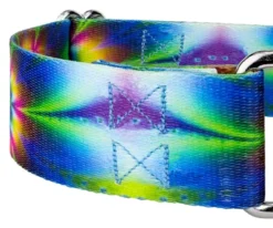 Country Brook Petz 1 1/2 Inch Tie Dye Flowers Martingale Dog Collar -Pet Shop GUEST e8c76b69 bf77 4f27 8ad1 3e0e90d9fcd2