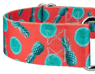 Country Brook Petz 1 1/2 Inch Tropical Tango Martingale Dog Collar 5 Country Brook Petz 1 1/2 Inch Tropical Tango Martingale Dog Collar - Image 3