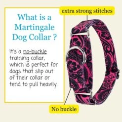 Country Brook Petz Martingale Dog Collar - Attitude Collection -Pet Shop GUEST e9c10085 af3f 4efe 8193 2268c3c8fa26