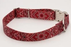 Country Brook Petz Premium Red Bandana Dog Collar 14 Country Brook Petz Premium Red Bandana Dog Collar -Pet Shop GUEST e9f4da53 3b5d 4fb2 99f6 0bb5e283457c