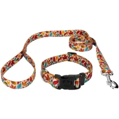 Country Brook Petz Deluxe Brisk Autumn Dog Collar And Leash -Pet Shop GUEST e9f7a3e3 1f13 4842 8dc9 15d357738952