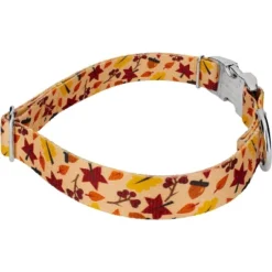 Country Brook Petz Premium Fall Foliage Dog Collar And Leash -Pet Shop GUEST e9fde8ae 1426 4ec9 b44a 4bedb35ff7fd 1