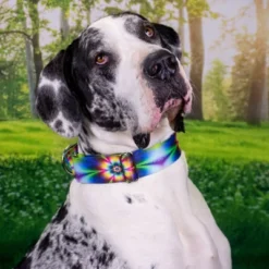 Country Brook Petz Tie Dye Flowers Martingale Dog Collar 17 Country Brook Petz Tie Dye Flowers Martingale Dog Collar -Pet Shop GUEST ea277c35 df23 4247 b769 92d68abc9d4b