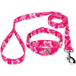Country Brook Petz Pink Hawaiian Martingale Dog Collar And Leash -Pet Shop GUEST eaf1586a 396f 4cbd a7ca 4eed2545e32a