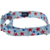 Country Brook Petz American Celebration Martingale Dog Collar (1/2 Inch, 2XS)