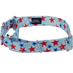 Country Brook Petz American Celebration Martingale Dog Collar (1/2 Inch, 2XS)