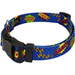 Country Brook Petz Deluxe Blue Super Dog Collar And Leash