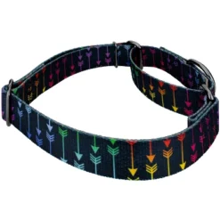 Country Brook Petz Martingale Dog Collar - Chevron And Arrows Collection -Pet Shop GUEST eb758fe8 c57b 40c0 b99a bfdd1975a38f
