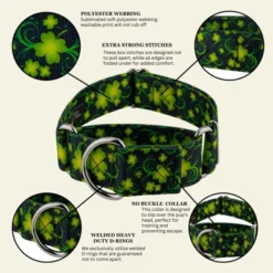 Country Brook Petz HossFit Jr Wide Martingale Dog Collar - Irish Pride 15 Country Brook Petz HossFit Jr Wide Martingale Dog Collar - Irish Pride -Pet Shop GUEST eb7c82a1 6073 4b61 a017 8fe723877751