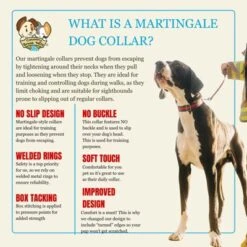 Country Brook Petz HossFit Jr Wide Reflective Martingale Dog Collar Collection Featuring Night Safe Designs -Pet Shop GUEST ec9e63ff eede 4c30 9a58 3301bd962208