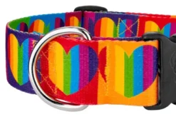 Country Brook Petz 1 1/2 Inch Deluxe Rainbow Hearts Dog Collar 12 Country Brook Petz 1 1/2 Inch Deluxe Rainbow Hearts Dog Collar -Pet Shop GUEST ecbffe09 0d2e 42cb b03c 40f95f4c7376