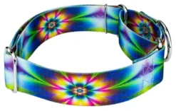 Country Brook Petz 1 1/2 Inch Tie Dye Flowers Martingale Dog Collar -Pet Shop GUEST ed015bad 5df5 44c6 aa7b 031ed41e847a