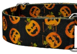 Country Brook Petz 1 1/2 Inch Happy Jack Martingale Dog Collar -Pet Shop GUEST ed667385 9fcd 4670 89f9 edca7d634c08