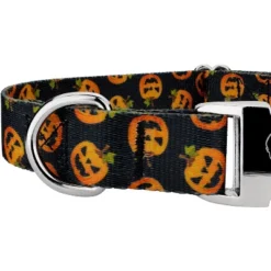 Country Brook Petz Premium Happy Jack Dog Collar -Pet Shop GUEST eda746b9 0a10 4d8a 95b1 99291d4f9fef 1