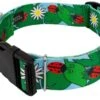 Country Brook Petz 1 1/2 Inch Deluxe Ladybug Picnic Dog Collar -Pet Shop GUEST ee827d6c 4b0e 4a8a 8c80 255e19482762