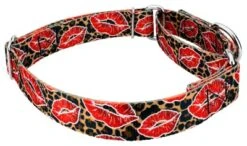 Country Brook Petz Cheetah Kisses Martingale Dog Collar -Pet Shop GUEST eee912a9 783e 441c bb4c 08df0191c7fd