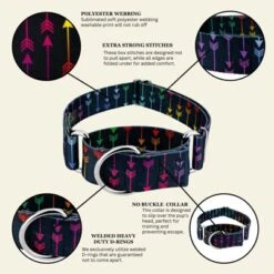Country Brook Petz HossFit Jr Wide Martingale Dog Collar - Chevron And Arrows Collection -Pet Shop GUEST ef32f33d 93e1 4291 9330 e13bbf9e3988
