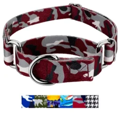 Country Brook Petz Martingale Dog Collar - Sports And Athletics Collection 9 Country Brook Petz Martingale Dog Collar - Sports And Athletics Collection -Pet Shop GUEST ef364b97 22bf 4fad a8f7 1a7b34fc87af